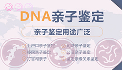 济南DNA亲子鉴定去哪里，济南做亲子鉴定需要多少钱