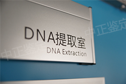 济南DNA鉴定中心准确性高吗，济南DNA鉴定中心预约