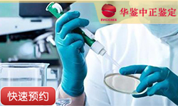 济南同一父系亲缘鉴定