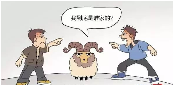 动物鉴定 动物鉴定